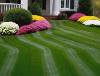 Идеальный газон: секреты создания и ухода за зеленым оазисом вашего участка