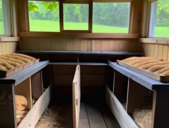 Как приучить кур нестись в гнезда: эффективные стратегии для успешного разведения