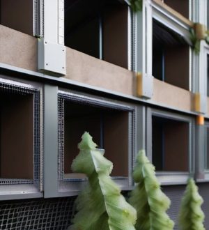 Как защитить пенопласт от мышей: эффективные методы и советы по предотвращению повреждений