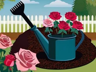 Успешная пересадка розы: секреты здорового роста в открытом грунте