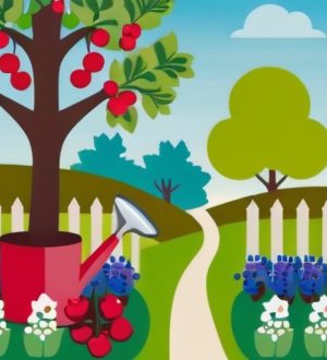 Весной за здоровьем: Как эффективно обрабатывать смородину и яблони от вредителей