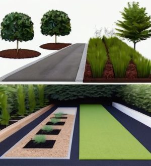 Восстановление заброшенных участков: шаги к новой жизни и процветанию природы