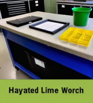 Гашеная известь: Значение, Производство и Применение в Современной Индустрии