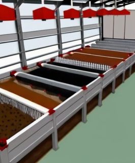 Оптимальная плотность посадки кур несушек: ключ к здоровью и высокой продуктивности