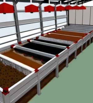 Оптимальная плотность посадки кур несушек: ключ к здоровью и высокой продуктивности