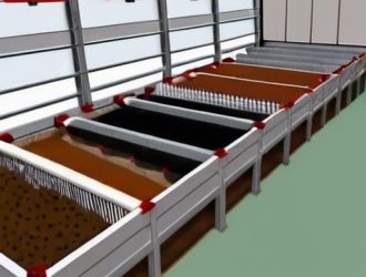 Оптимальная плотность посадки кур несушек: ключ к здоровью и высокой продуктивности