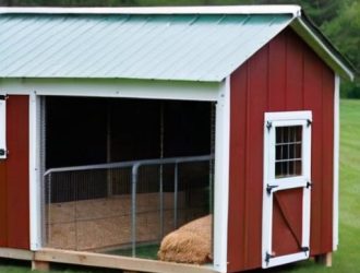 Правильное содержание кур несушек: от расчета плотности до комфортных условий жизни